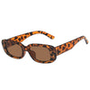 Leopard Clothing Leopard / other Animal print sunglasses womens