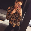 Leopard Clothing Chemisier Brown leopard print blouse
