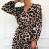 Leopard Clothing Robe Classy leopard print dress