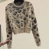 Leopard clothing Leopard cashmere sweater