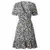 Leopard Clothing Robe Leopard print sun dress