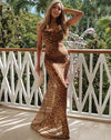 Leopard Clothing Sheer leopard maxi dress