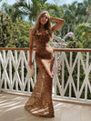 Leopard Clothing Leopard / S Sheer leopard maxi dress